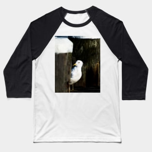 Coy Gull Baseball T-Shirt